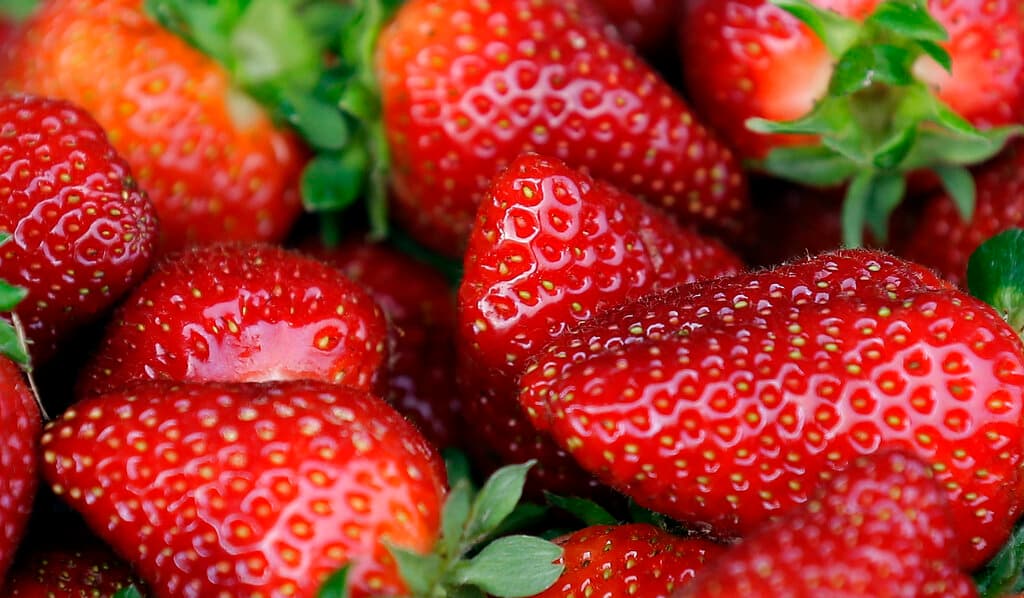La FDA investiga 17 casos de hepatitis relacionados con fresas cultivadas en México
