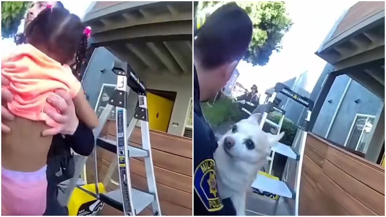 En medio del incendio, lanzan a su bebé de 3 años y a su perro desde un balcón en California