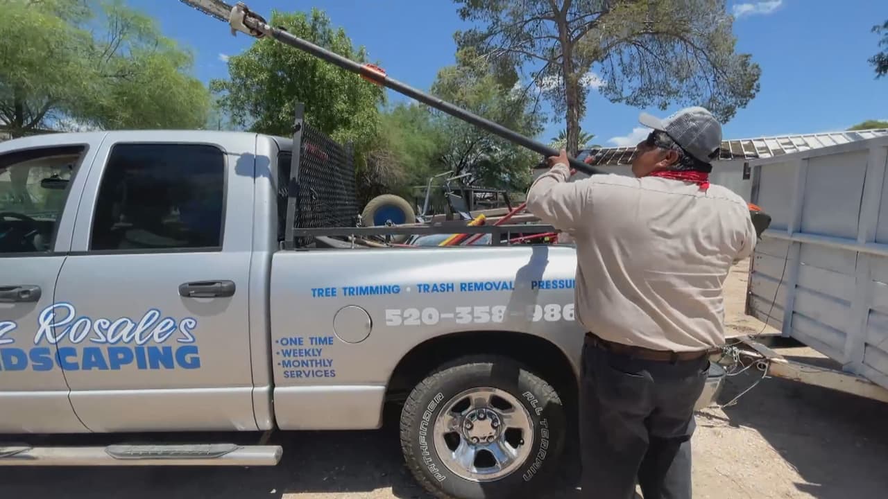 Si usted tiene un panal en su casa puede llamar a sus condados correspondientes para ver si le pueden ayudar a removerlo.