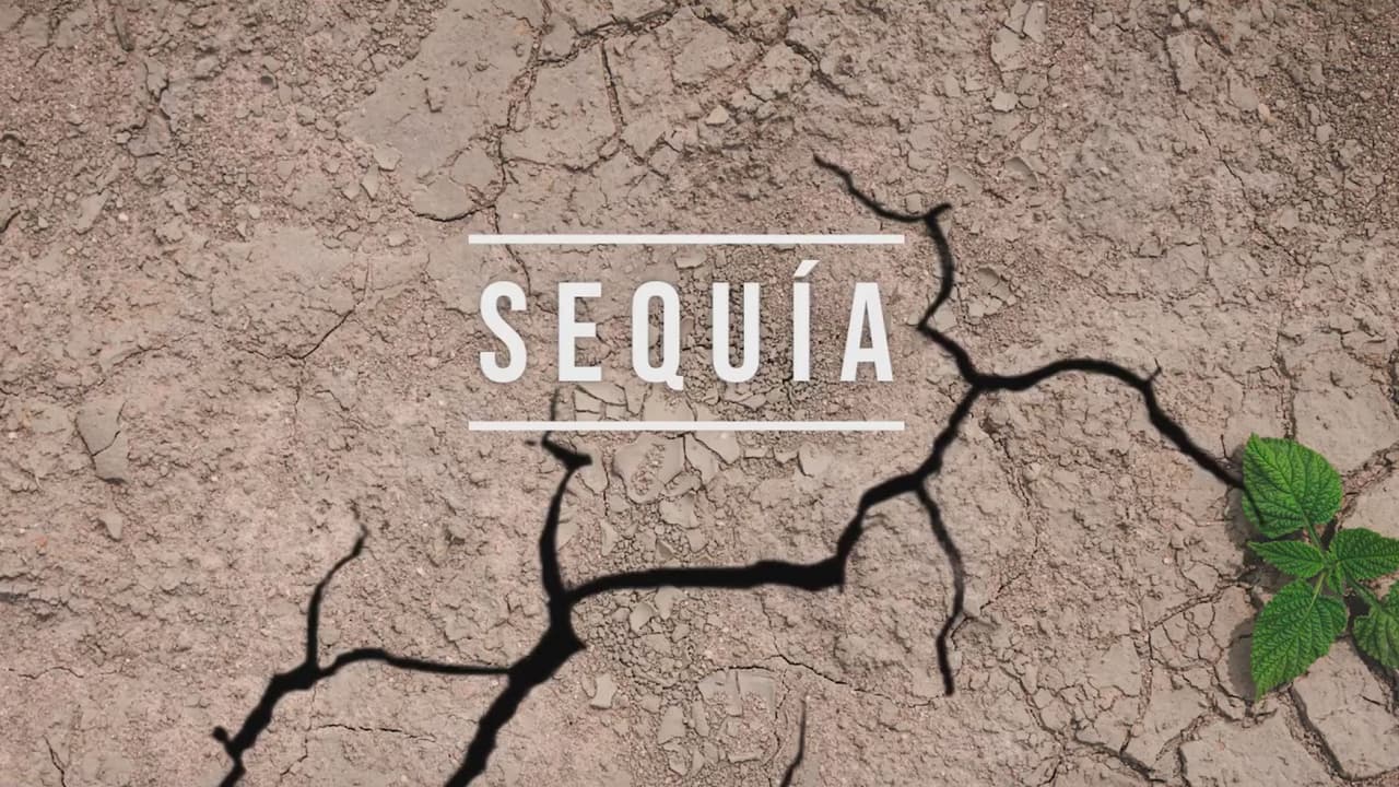 ¿Qué hacer para evitar un incendio en su propiedad en medio de la alerta roja y sequia?