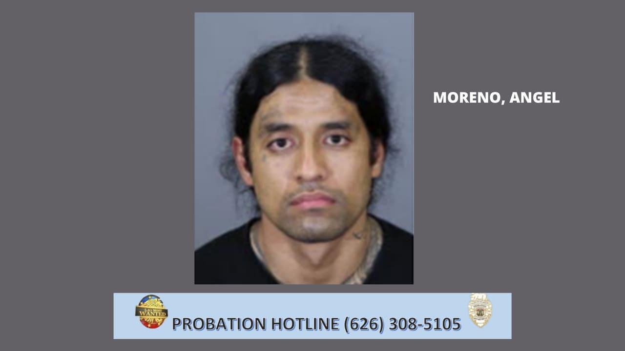 <b>Angel Moreno</b> es un pandillero documentado y tiene un extenso historial criminal. Sus condenas incluyen agresión, posesión de sustancias controladas, robo de vehículos, delincuente/adicto en posesión de un arma de fuego, obstrucción de un oficial y crueldad hacia animales Ha cumplido múltiples condenas en prisión estatal, siendo la más larga una condena de 4 años por agresión. Moreno fue liberado de la prisión estatal bajo la supervisión de la libertad condicional del condado de Los Ángeles. Departamento el 10 de marzo de 2022.
<br>
<b>Marcas/características distintivas</b>: Tatuajes en pecho, cuello, ambos brazos, manos y hombro.
<br>Pandilla: EAST SIDE LONGOS
<br>Fue visto por última vez en área de South Bay.
