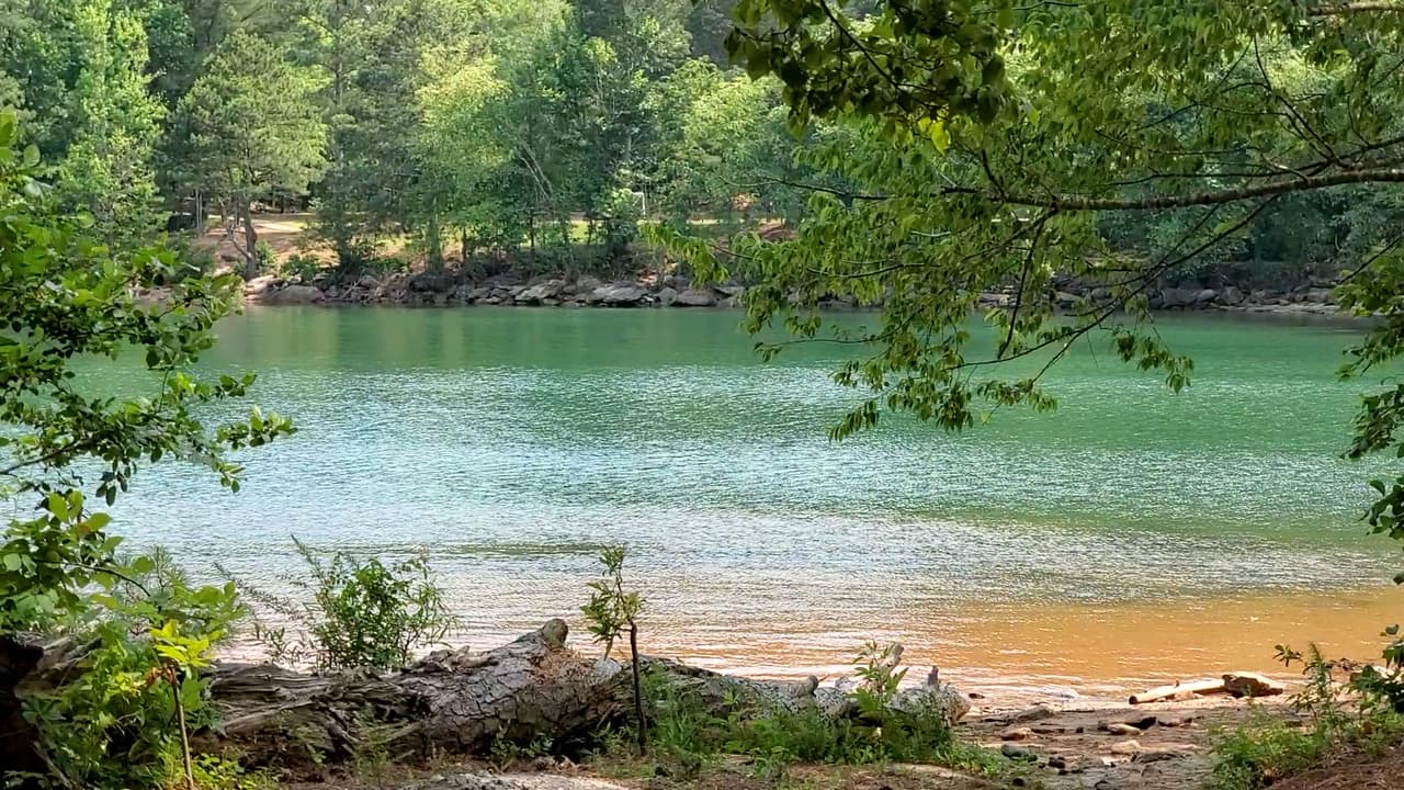 Buford Dam Park también tiene pabellones que son ideales para reuniones familiares, fiestas de cumpleaños o reuniones.