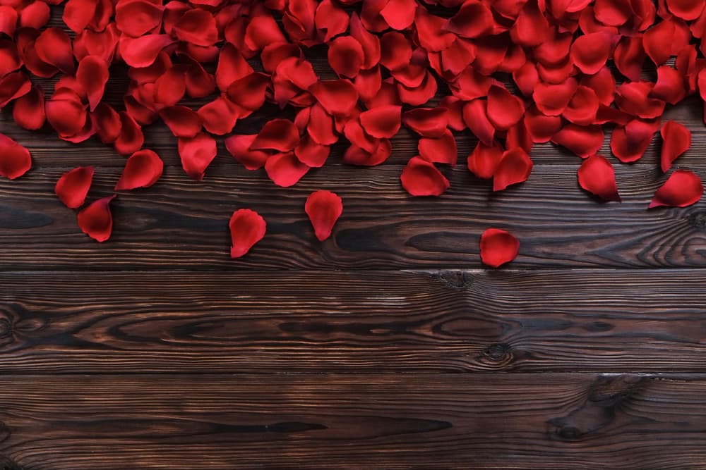 Enseguida, el símbolo de amor por excelencia, los pétalos de varias rosas rojas.