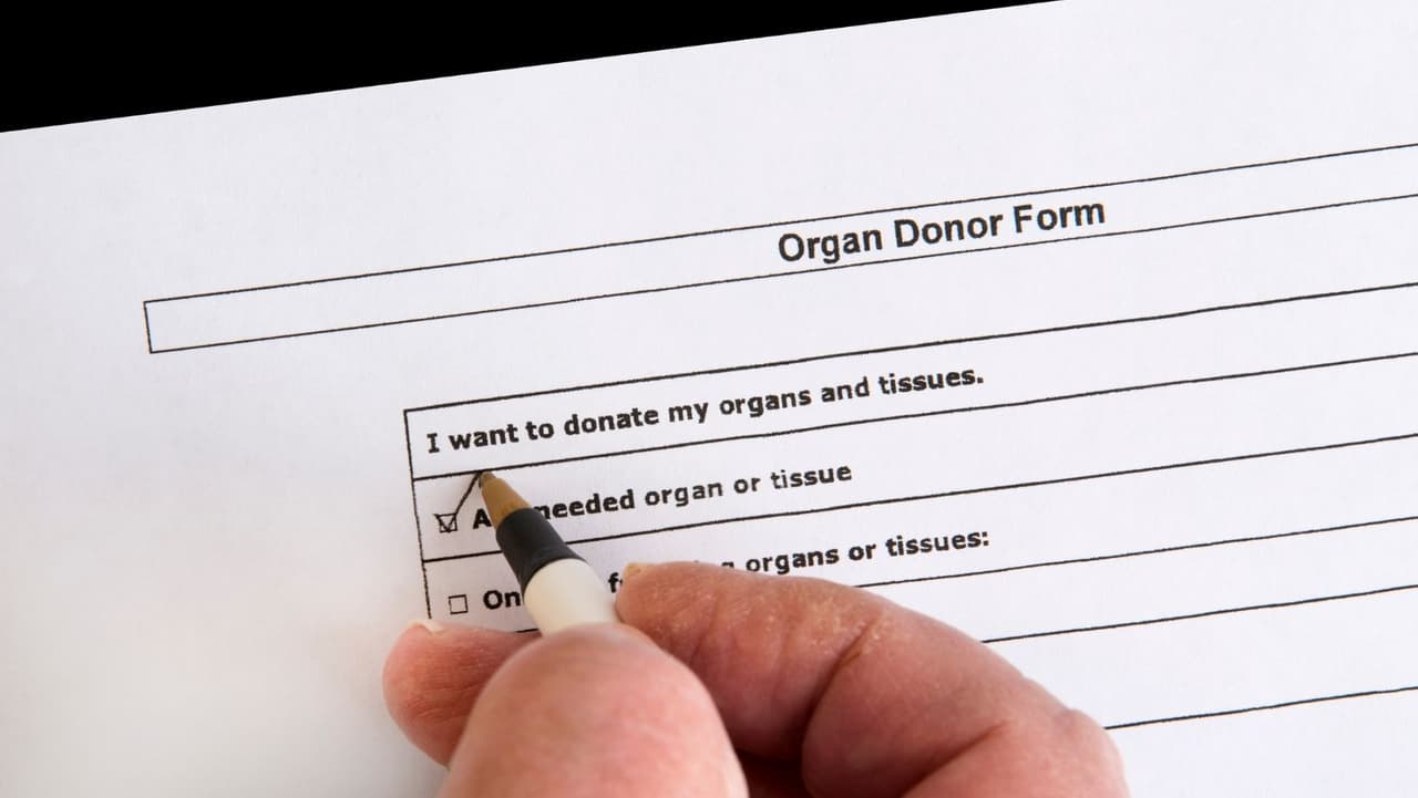 Además de brindar protección a los donantes que voluntariamente entregan una parte de sí mismos para ayudar a otro, esto podría ayudar a aumentar la cantidad de personas dispuestas a hacer un regalo que les salve la vida.
<br>