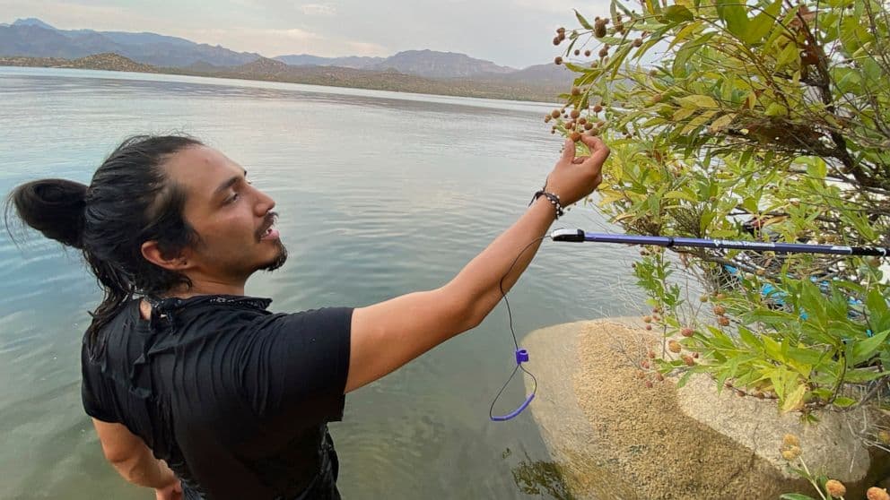 La misteriosa muerte de un estudiante de California que viajó a México a una investigación