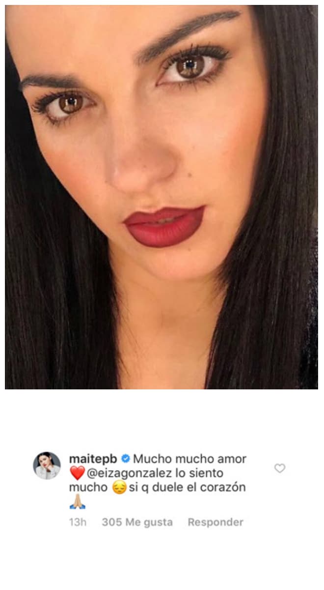 Varios de ellos, como Maite Perroni, también son amantes de los animales y pudieron entender el dolor de la protagonista de 'Lola, érase una vez'.