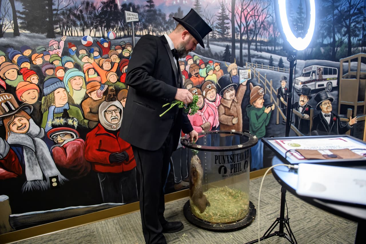 Los habitantes de Punxsutawney, en Filadelfia, celebran el Día de la Marmota cada 2 de febrero desde 1887. La tradición fue traída por los inmigrantes alemanes.