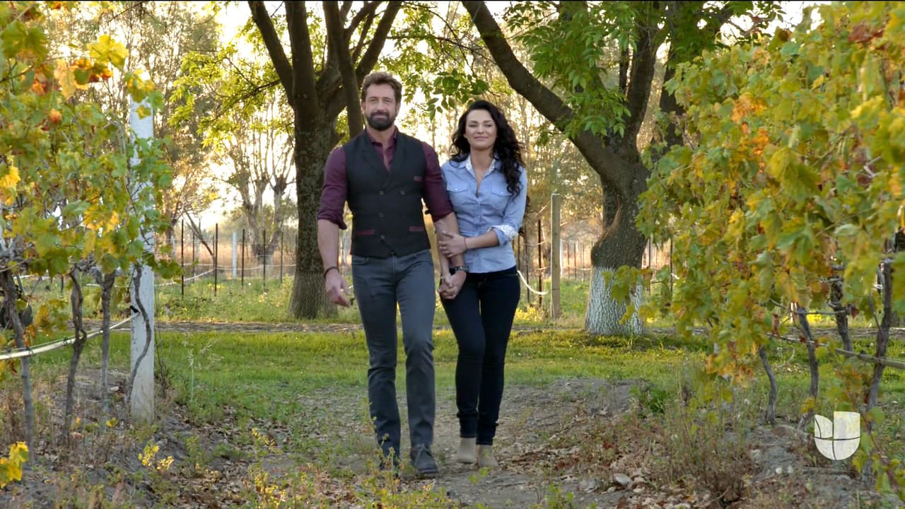 David caminó por su viñedo como el hombre más dichoso al saber que Luciana le había dado una nueva oportunidad a su amor.