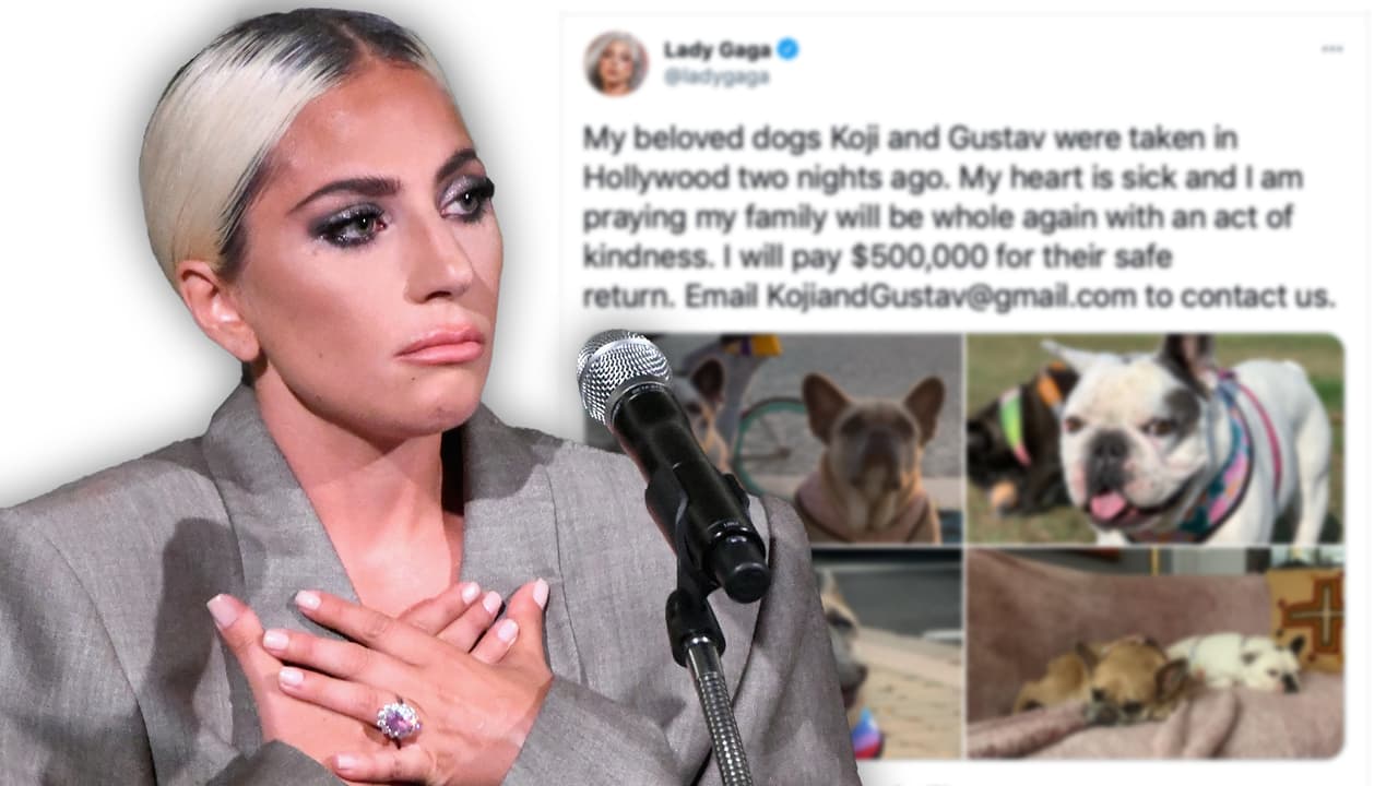 Lady Gaga habla por primera vez tras el robo de sus perros: "reza" para recuperar a "su familia"