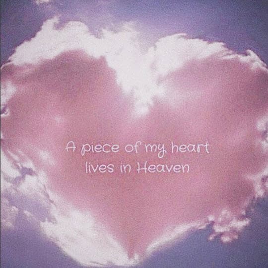 Ximena Navarrete compartió una triste noticia con sus seguidores de Instagram: perdió el bebé que con tanta ilusión esperaba.