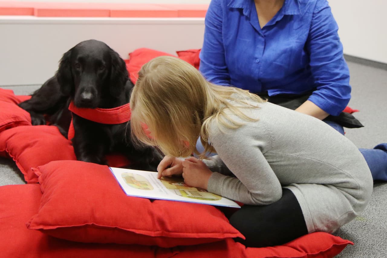 Para incorporar las matemáticas, encuentren 
<b>formas creativas de usar los números en la vida diaria.</b> Deje que su hijo lo ayude con la cuenta del mercado, calculando el tiempo, o midiendo ingredientes al cocinar con una receta.