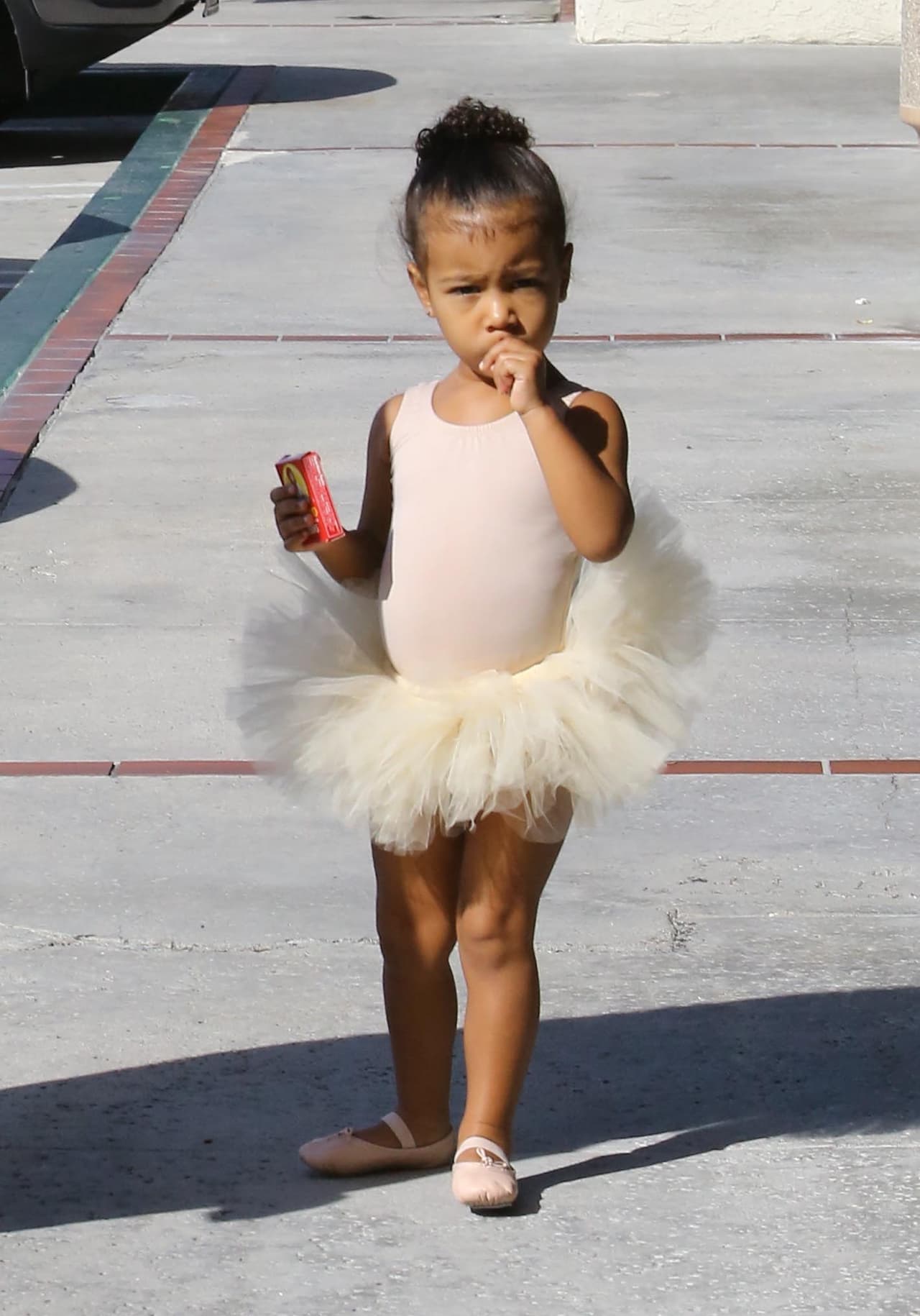 Nori ya está acostumbrada a las cámaras.