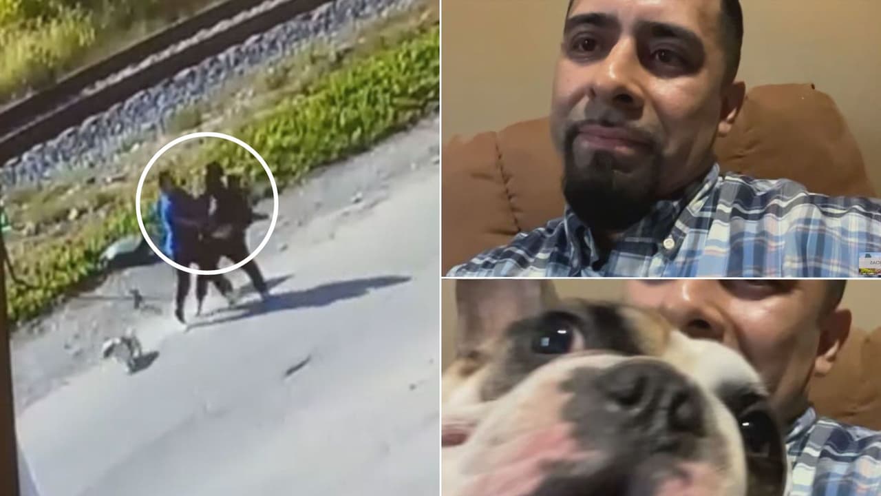 "Le quitó el collar a mi perro": hombre narra cómo un paseo con su mascota casi termina en tragedia