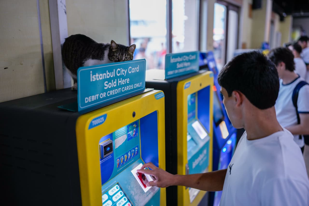 Un gato se sienta encima de una máquina expendedora de billetes de tren en la terminal de ferris de Kadikoy, en Estambul, Turquía, el lunes 13 de julio de 2026. (Foto AP/Emrah Gurel)