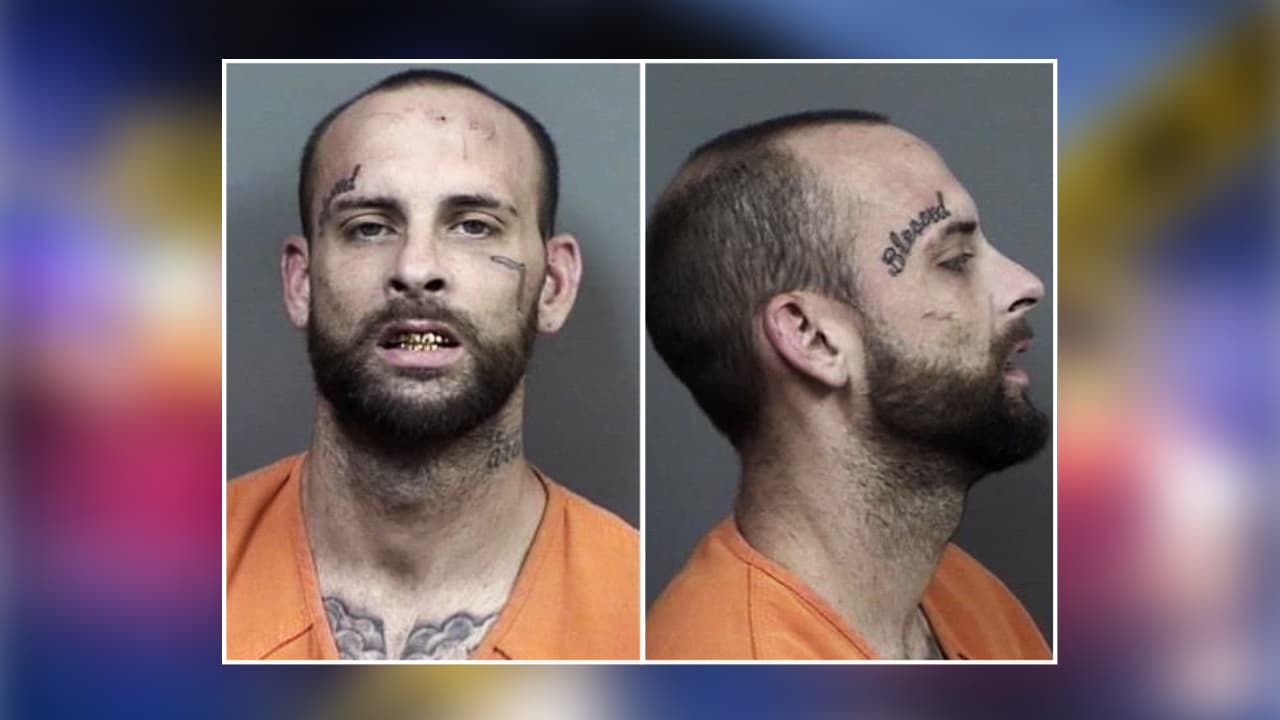 Reporte de violencia doméstica terminó con sospechoso muerto por disparos de la Policía en el condado Citrus