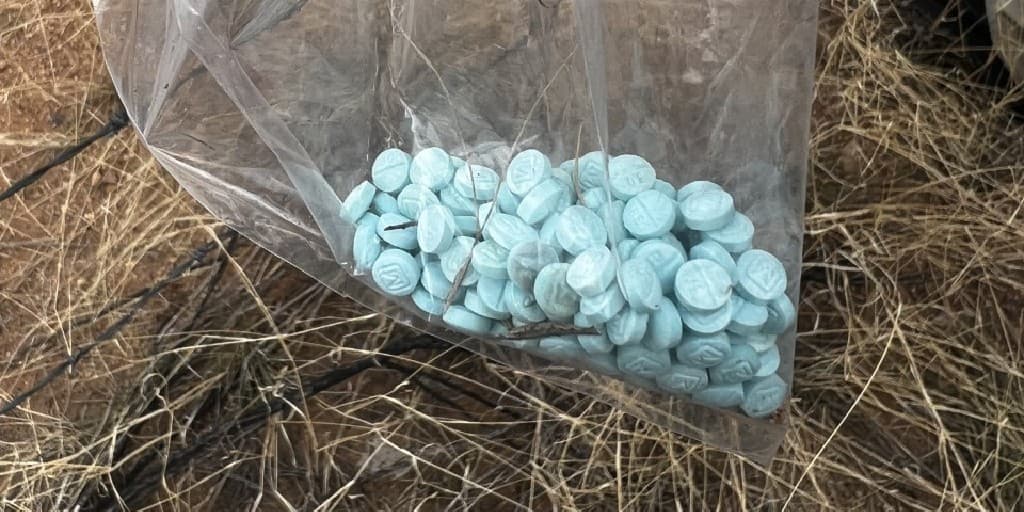 Oficiales del Departamento de Seguridad Pública de Arizona y de la Patrulla Fronteriza logradon detener un vehículo que huía cerca de Benson, Arizona. Cuando el vehículo finalmente se detuvo, tres migrantes fueron arrestados junto con un ciudadano estadounidense, quien enfrenta cargos criminales. Se incautaron aproximadamente 100 pastillas de fentanilo.