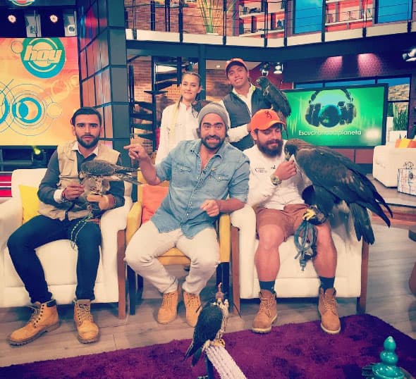 El amante de los animales, Arturo Islas, trajó a 'Hoy' unas hermosas aves que volaron por todo el foro.