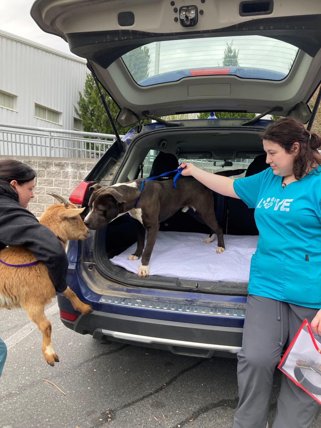 Los dos amigos estarán juntos para siempre, ya que no se separan ni un momento. Comen, corren, juega y hasta duermen juntos.