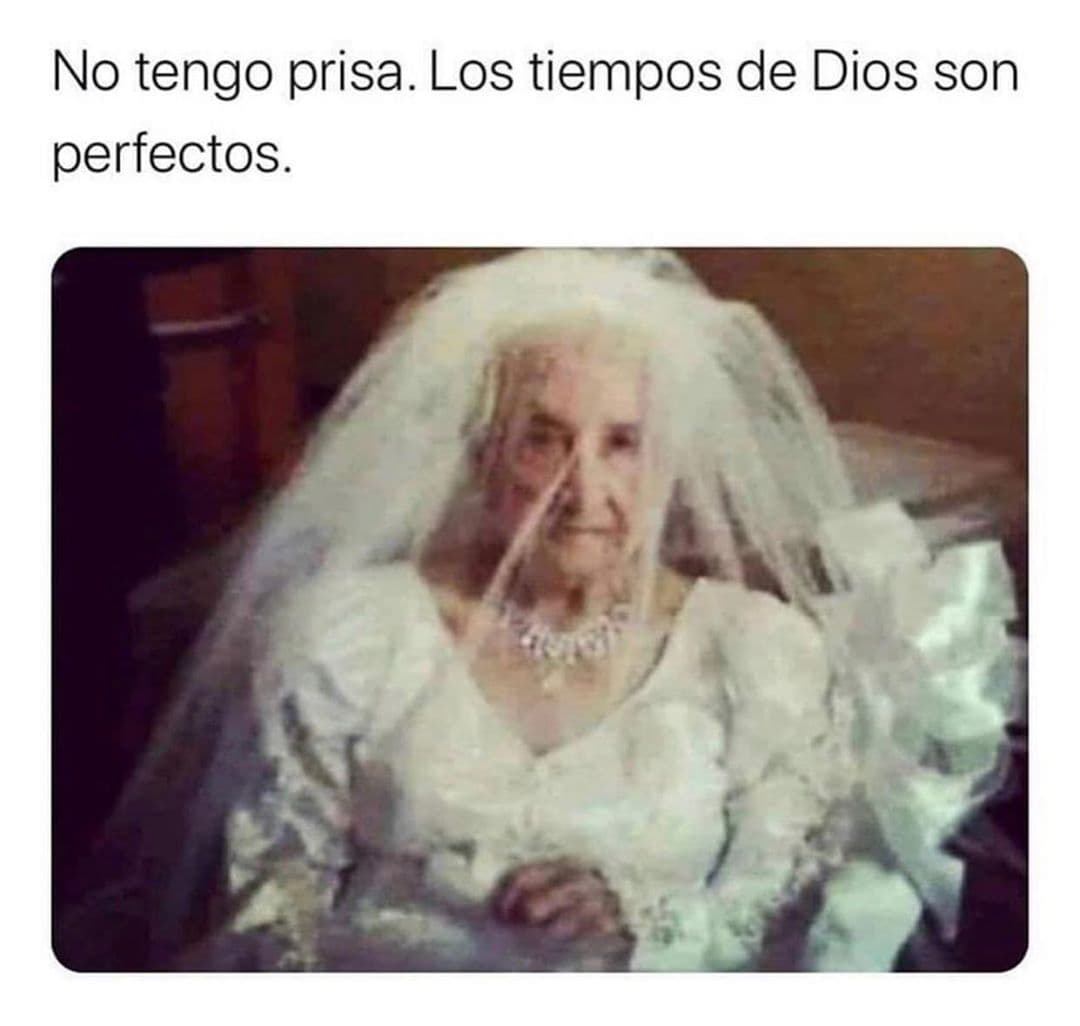 Francisca compartió el meme que le alegró el día.