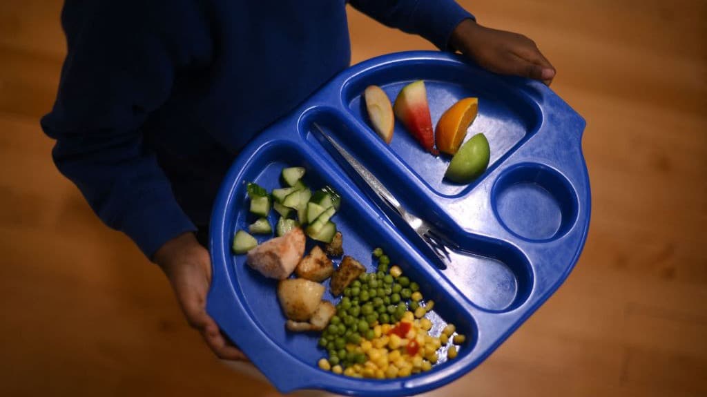 El Banco de Alimentos de Houston, en colaboración con la empresa de vehículos autónomos Cruise, ha puesto en marcha 
<b>un programa para entregar productos agrícolas y no perecederos. (No está abierta al público en general).</b>