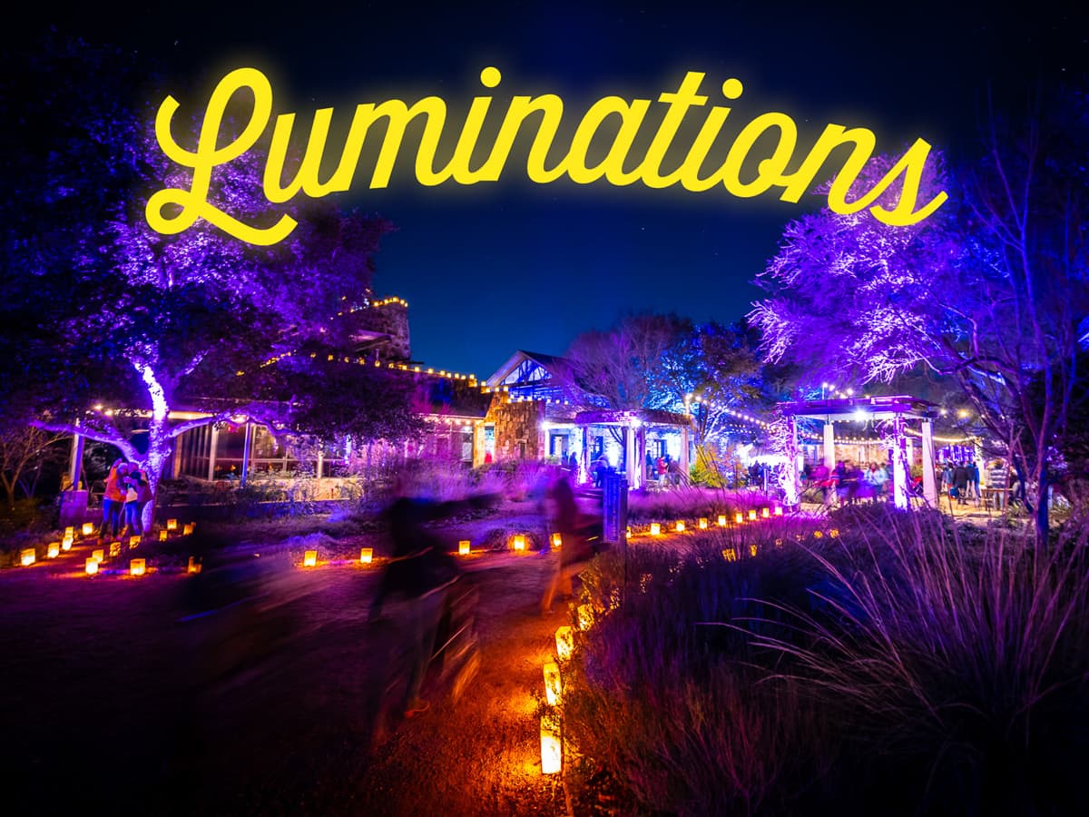 En este jardín en Austin podrás tomarte fotos con un espectáculo de luces 