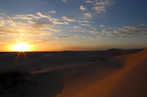 La mayoría de estas dunas están estabilizadas por la vegetación, pero el parque es un área donde muchas dunas todavía están activas.