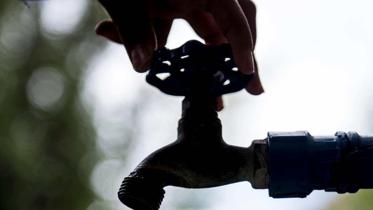 El plomero Jesús González explica que debido a las condiciones invernales que se están viviendo no es suficiente dejar las llaves de agua abiertas con una gotera leve, sino que hay que abrirlas mucho más. "Por mucho hielo que se esté acumulando, al correr el agua por un minuto, se deshacen las líneas de hielo", dice. Ten en cuenta que si colapsan tus tuberías, debes apagar de inmediato el medidor de agua.