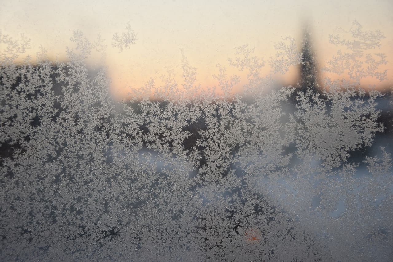 Cuelgue mantas sobre las ventanas por la noche pero deje que entre la luz del sol durante el día. Cubra los espacios entre las puertas y el piso con alfombras, periódicos, toallas u otro material similar.
<br>