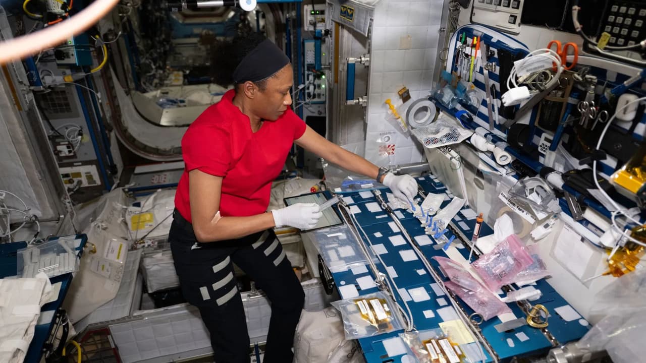 <b>Función inmune en el espacio: </b>Se examinaron muestras para estudiar cómo el vuelo espacial afecta la función inmune, ofreciendo un análisis más preciso de cambios durante la misión.