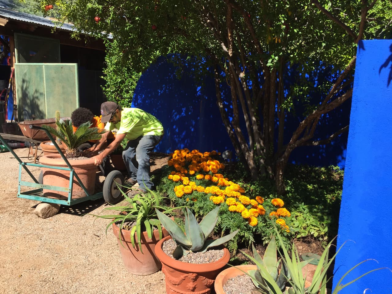 Jardines, color y arte en la exhibición de Frida Kahlo en Tucson