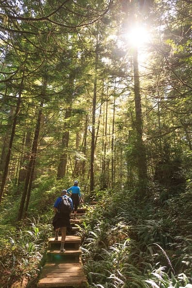 El 
<a href="https://www.nps.gov/olym/planyourvisit/things2do.htm" target="_blank">Parque Nacional Olimpic</a> es el hogar de animales como ciervos, cabras, osos e incluso durante la temporada de migración (abril-mayo) es posible ver ballenas. Esta reserva natural cuenta con zona de campamento y es famoso por sus cielos nocturnos que permiten ver una gran cantidad de estrellas.