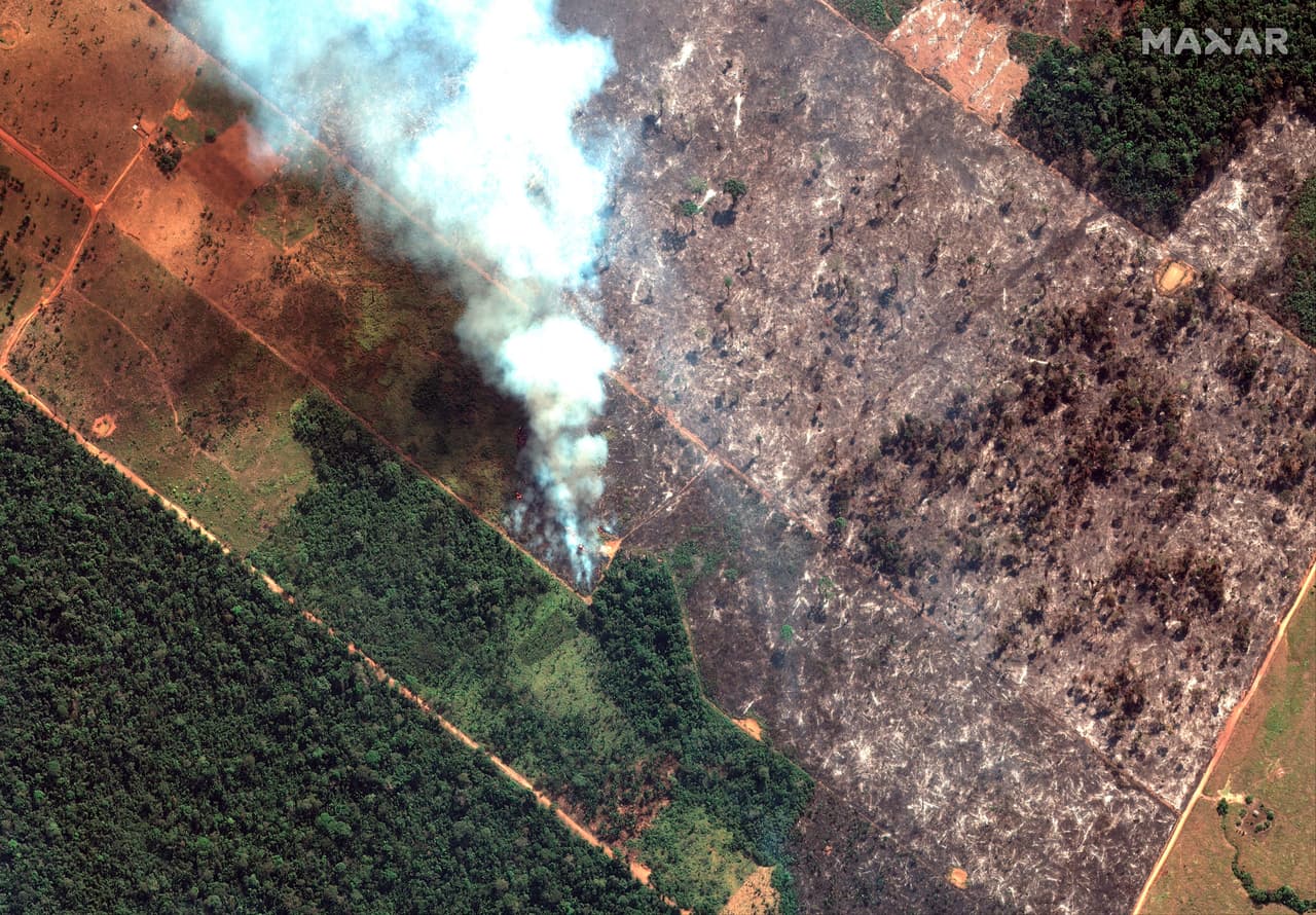 La Amazonía es la selva tropical más grande del mundo y el 60% se encuentra en Brasil. Un número récord de incendios está devastando la jungla y se cree que muchos de ellos se habrían creado deliberadamente en ese país, lo que generó preocupación internacional debido a la importancia del área para el medio ambiente de todo el planeta. En la fotografía satelital, tomada el del 15 de agosto de 2019, algunos de los incendios en el estado de Rondonia, Brasil, en la cuenca alta del río Amazonas.