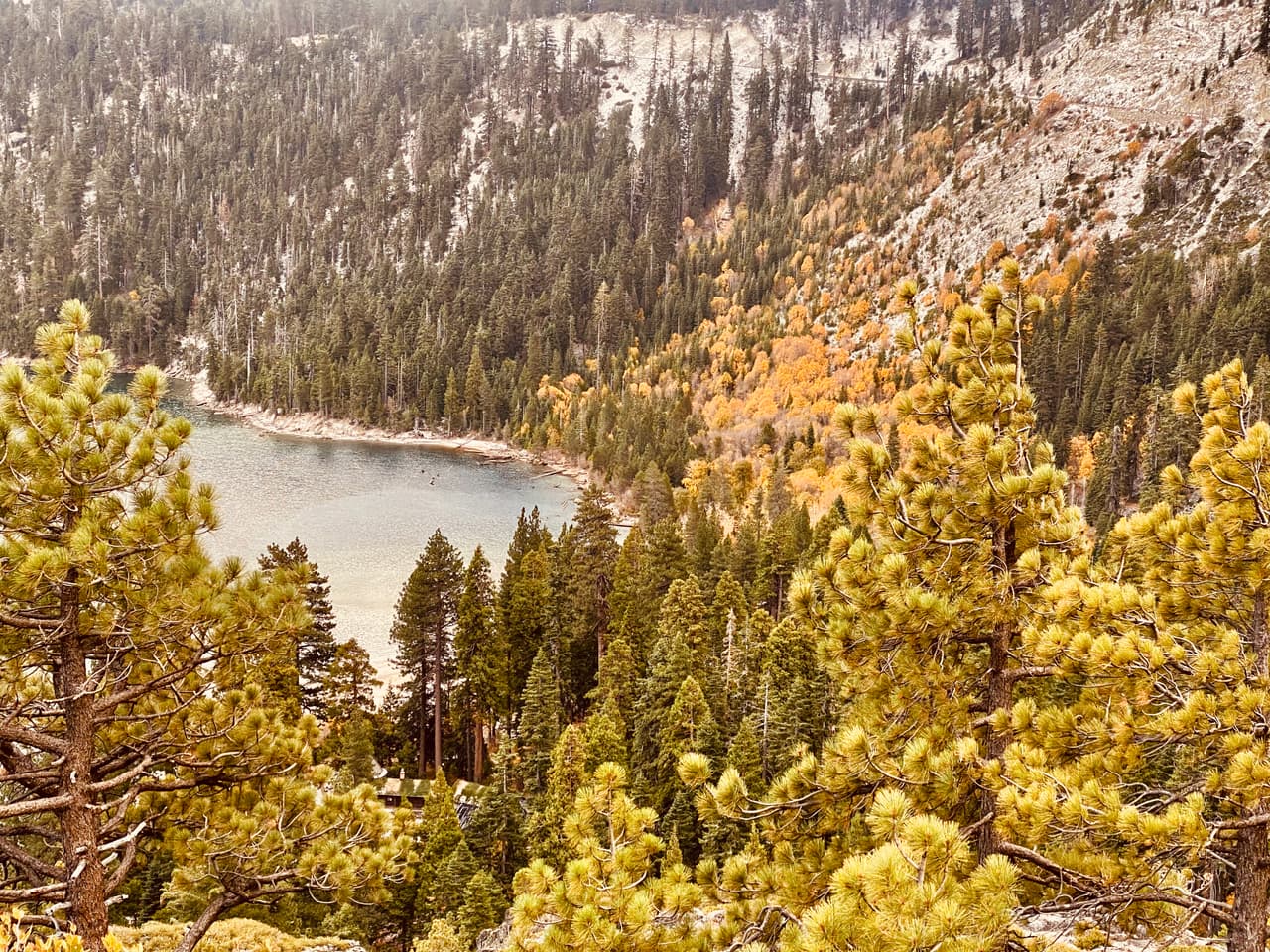 El agua del lago Tahoe es casi tan pura como el agua potable. Su visibilidad cristalina en los días soleados atrae a personas para realizar deportes acuáticos como
<i>wakeboarding</i>, canotaje y buceo.