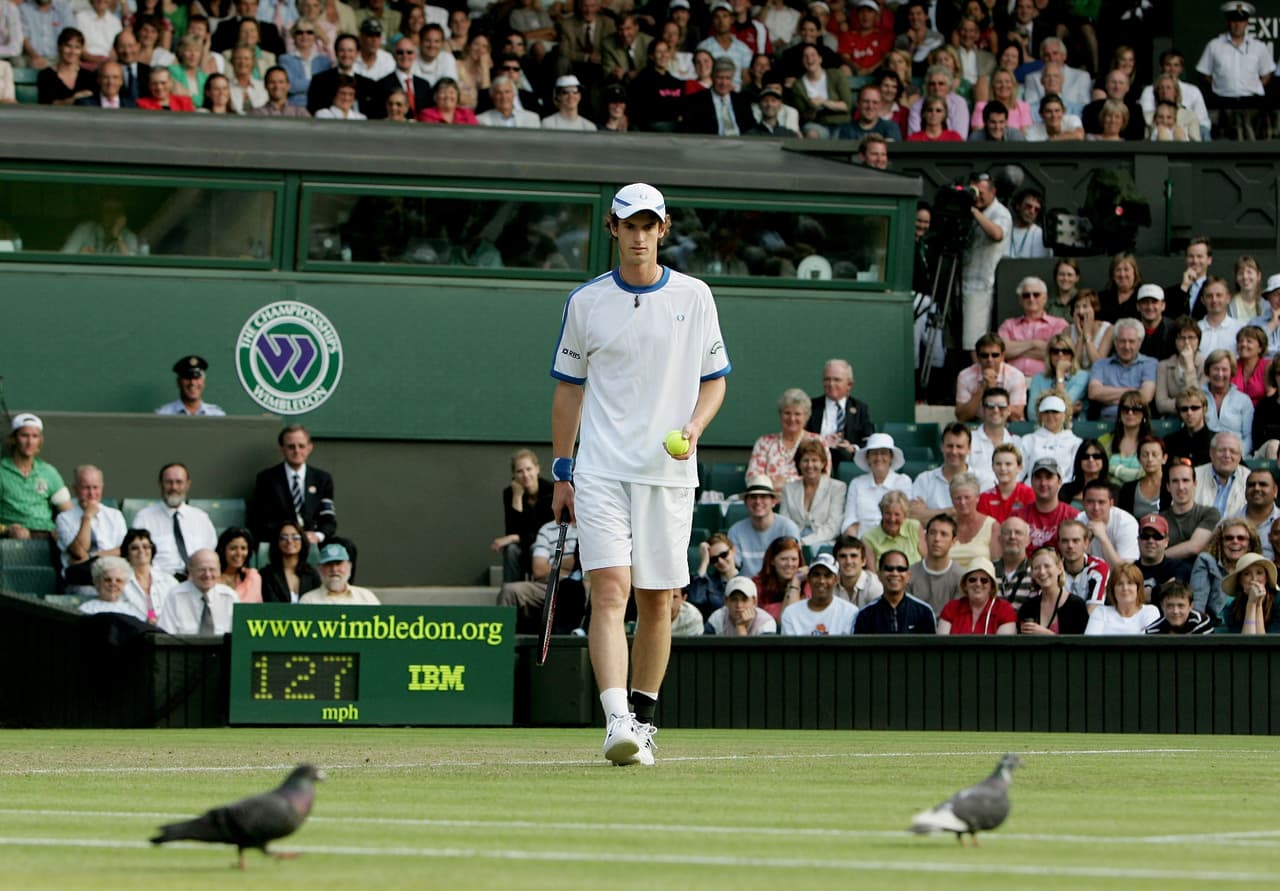 Unas palomas interrumpen un partido de tenis entre el británico Andy Murray y Julien Benneteau de Francia en Wimbledon.
