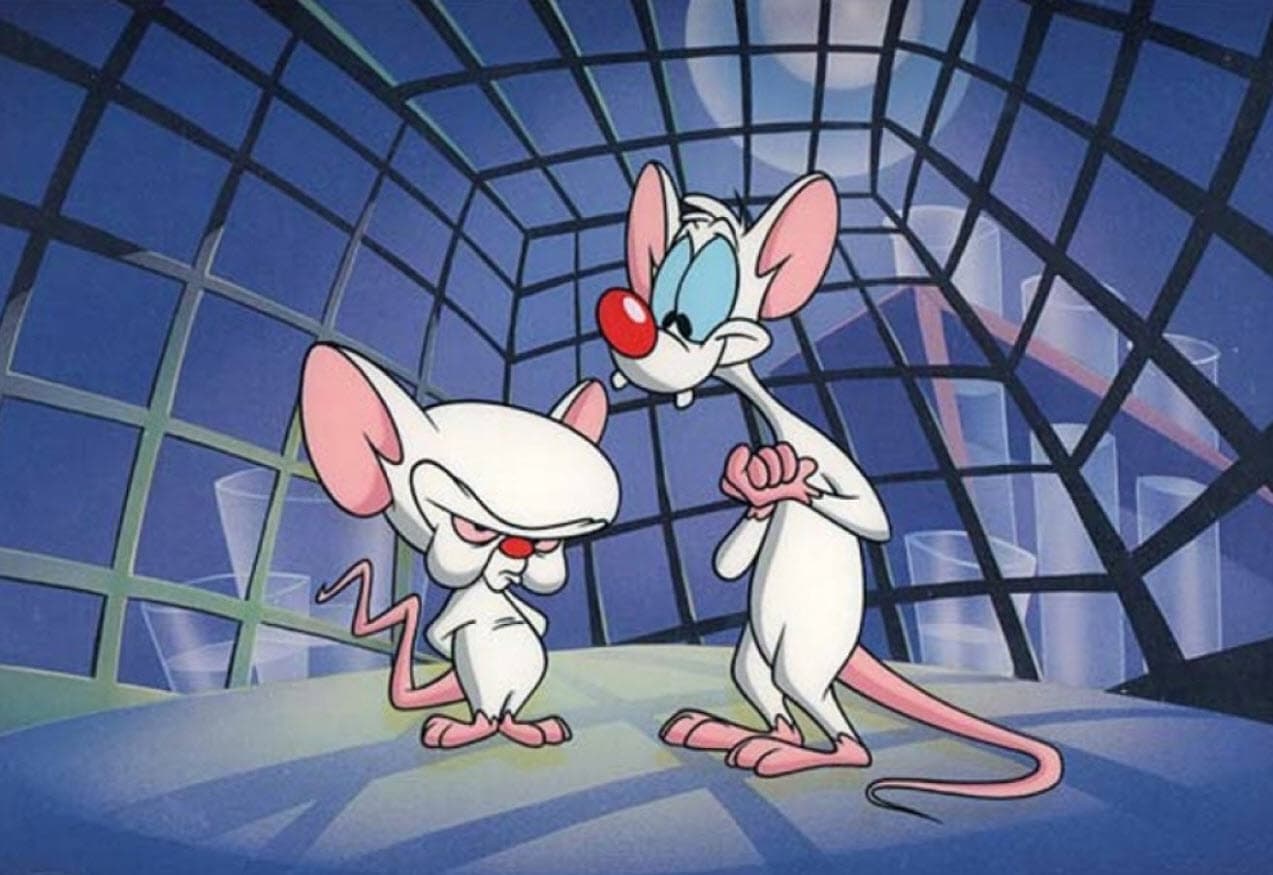 'Pinky y Cerebro' también llegaron a la televisión ese año para divertir a chicos y grandes con sus planes para conquistar el mundo.