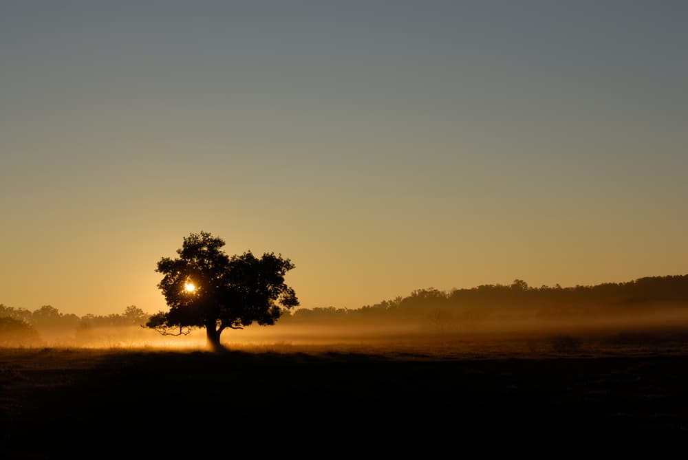 Por supuesto según la latitud terrestre en que nos encontremos tendrá lugar a una hora diferente. Por: Profesor Zellagro