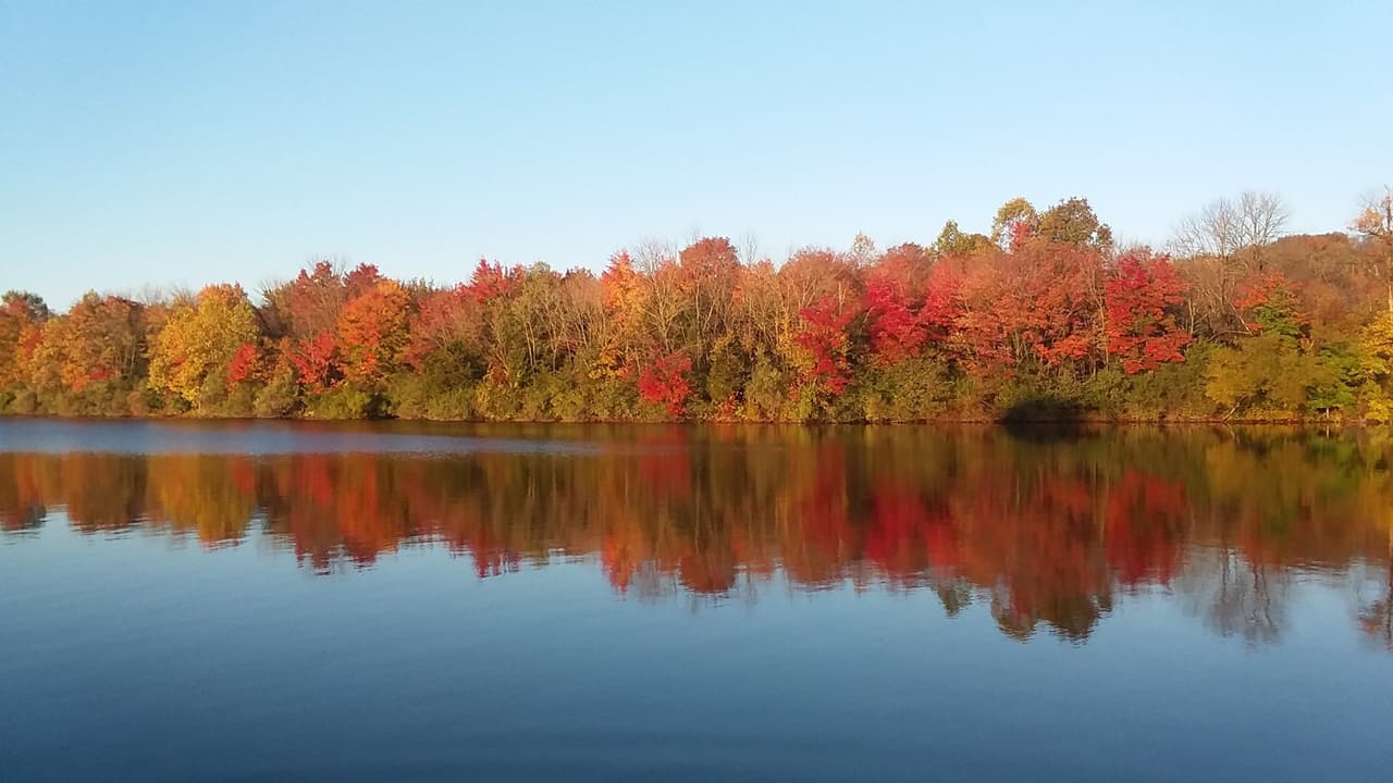 Nockamixon State Park se encuentra en las colinas del pintoresco condado de Bucks, lo suficientemente cerca de Filadelfia para una excursión de un día, pero lo suficientemente lejos para pasar unas vacaciones.