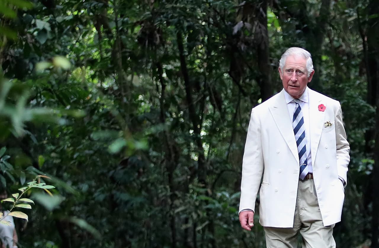 Una de las grandes aficiones que se conocen del 
<b><a href="https://www.univision.com/famosos/hombre-que-dice-ser-hijo-del-principe-carlos-y-camilla-parker-solicita-a-un-tribunal-una-prueba-de-adn-fotos">príncipe Carlos</a></b> es su amor por las plantas.