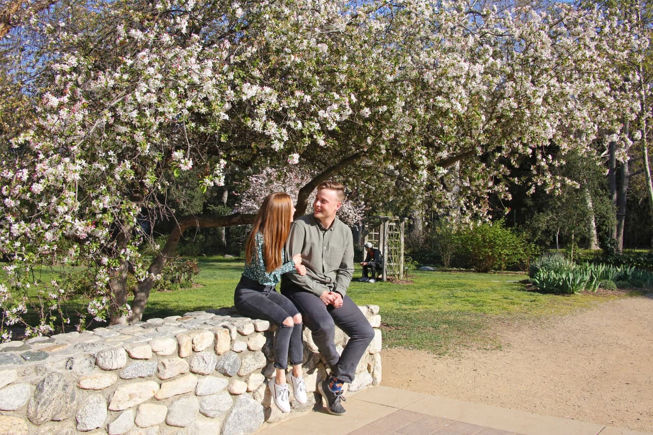 Entre otras especies que puedes encontrar en Descanso Gardens están las manzanas silvestres que están en plena floración en el estanque Rose Garden y Center Circle.