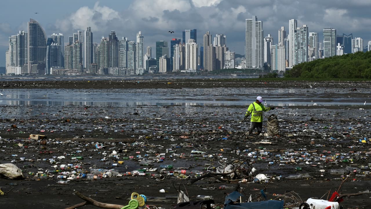 Educar sobre el cambio climático: el programa escolar que busca soluciones de fondo para el planeta
