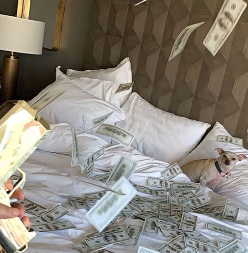 El festejo de la perrita Baguette inició con la publicación de esta postal, con la que recibió más de 6,000 'Me gusta'.