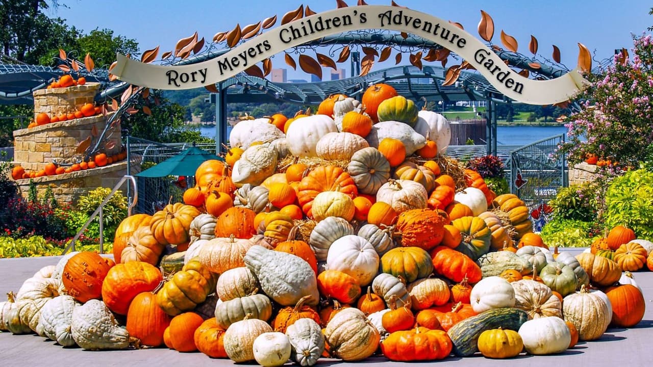 <h3 class="cms-H3-H3">Un puente cultural en Dallas </h3>Dallas Arboretum se ha ganado un lugar como uno de los mejores jardines del mundo. Este año, con ¡Mundo México!, no solo ofrece un espectáculo visual con 110,000 calabazas y esculturas impresionantes, sino también
<b> una invitación a reflexionar sobre la riqueza cultural y natural que une a dos países.</b> 
<br>Quien lo visite encontrará mucho más que un jardín decorado: 
<b>será un paseo por las raíces, colores y símbolos de México en el corazón de Texas.</b>