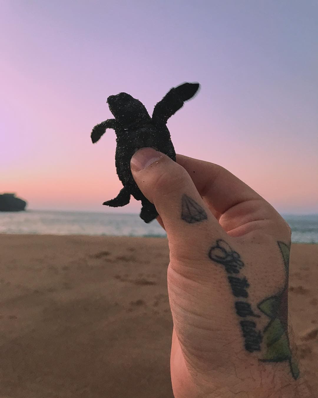 En el 2017 se tatuó una de las célebres frases del poeta romano Virgilio: "Así se va hacia las estrellas", pero lo hizo en latín (
<i>Sic itur ad astra</i>).