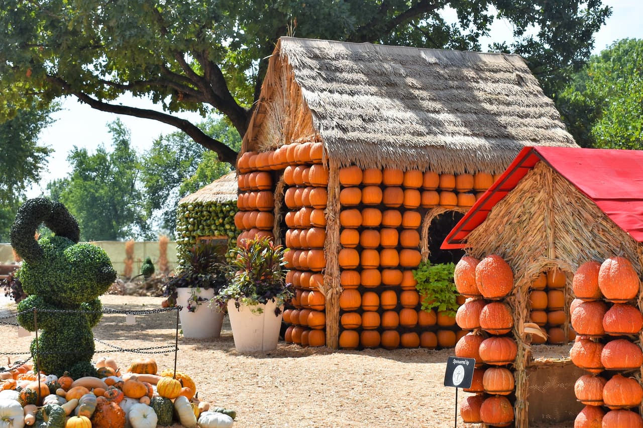 📆 Fechas: Hasta el 5 de noviembre podrás disfrutar de esta exhibición de otoño
<br>⏰ Horarios: 9am - 5pm
<br>📍
<a href="https://www.google.com/maps/place/8525+Garland+Rd,+Dallas,+TX+75218/data=!4m2!3m1!1s0x864ea19a37398f25:0xbeaed1a1c2400228?sa=X&ved=2ahUKEwil_YfD1L6BAxWDI0QIHU3eBmAQ8gF6BAgcEAA&ved=2ahUKEwil_YfD1L6BAxWDI0QIHU3eBmAQ8gF6BAgnEAI" target="_blank">Dallas Arboretum</a>: White Rock Lake at 8525 Garland Road, Dallas, Texas 75218.