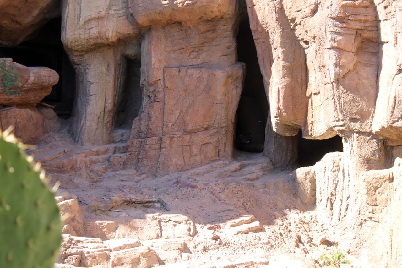 El Museo del Desierto Arizona - Sonora