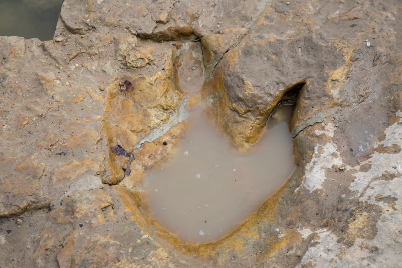 Huella de un terópodo, un tipo de dinosaurio carnívoro que andaba en sus patas traseras y tenía tres dedos. Las huellas fosilizadas están grabadas en el lecho rocoso del río Paluxi.