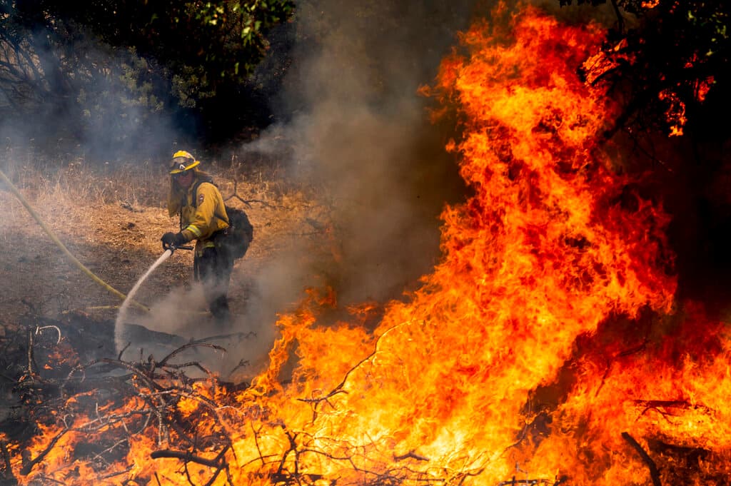 El incendio Oak sigue avanzando en el condado de Mariposa, a unas 75 millas de Modesto, y hasta este lunes ya había calcinado 16,791 acres, desde que comenzó el viernes por la tarde noche.El incendio Oak sigue avanzando en el condado de Mariposa, a unas 75 millas de Modesto, y hasta este lunes ya había calcinado 16,791 acres, desde que comenzó el viernes por la tarde noche.