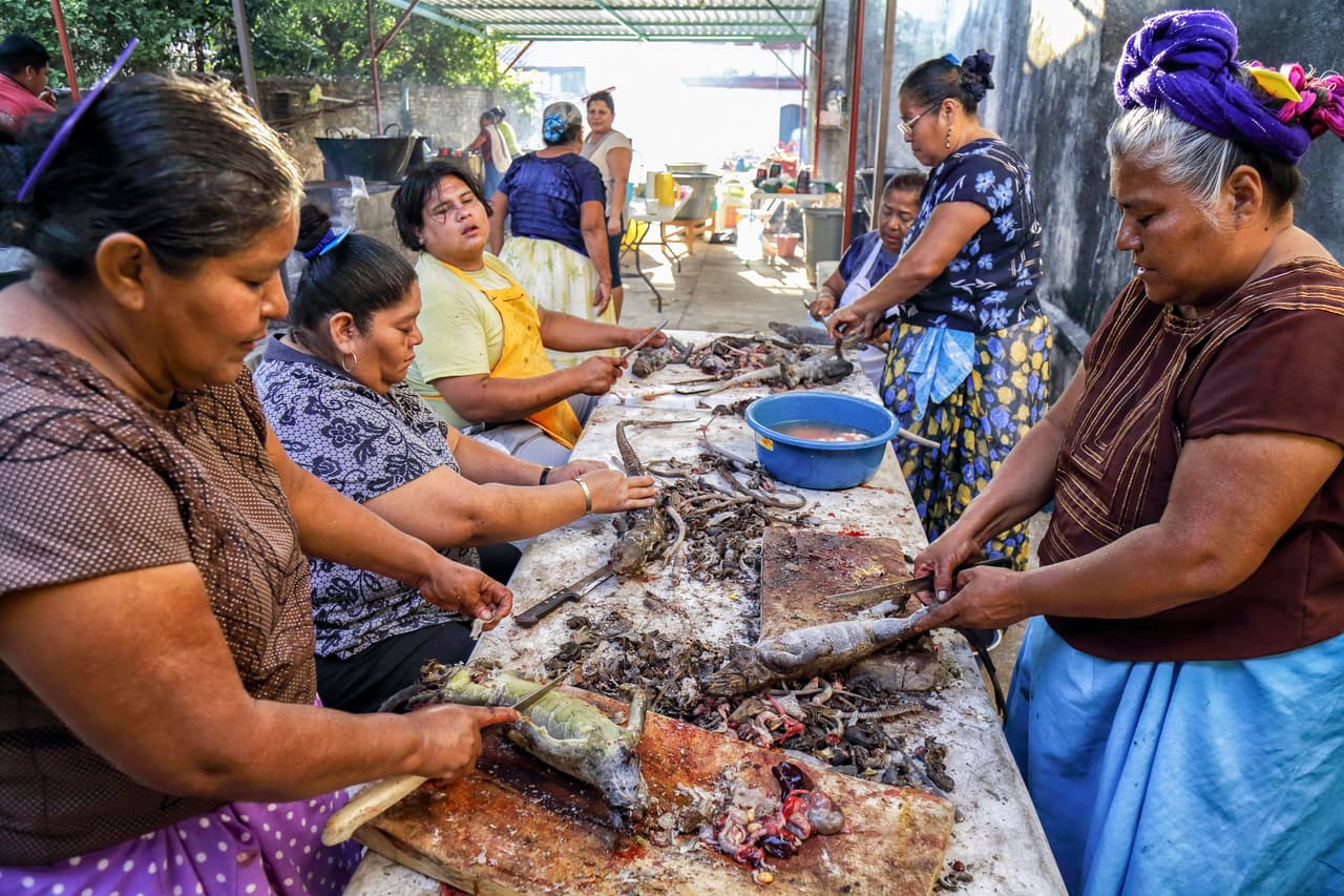 Recordó que, a causa de la producción de tamales de iguana, en la región del Istmo de Tehuantepec, donde se ubica Juchitán, “ya no quedan iguanas para comercializar a gran escala” y la mayoría son llevadas desde los estados de Chiapas y Veracruz.