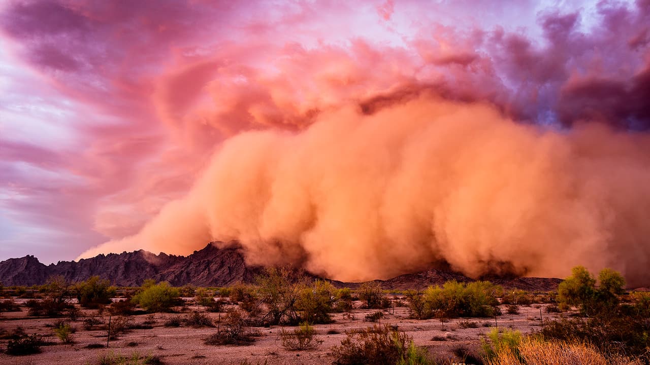 Si está caminando por la calle busque refugio de inmediato, proteja su cara y cualquier piel expuesta, cúbrase la nariz y boca. Las tormentas de polvo suelen durar unos minutos y como máximo una hora, 
<b>quédese donde está hasta que pase la tormenta de polvo</b>.