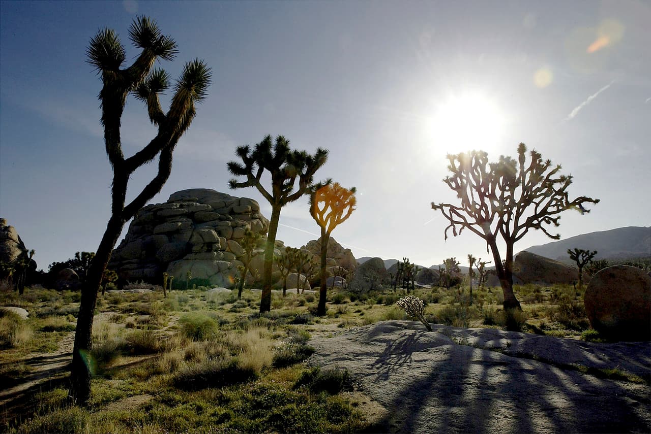 Gobierno de Trump demanda a California por su resistencia a la venta de tierras públicas a empresas privadas